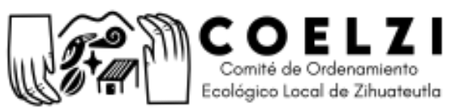 COELZI
