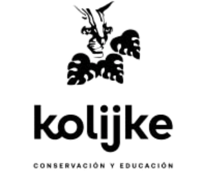 Kolikje